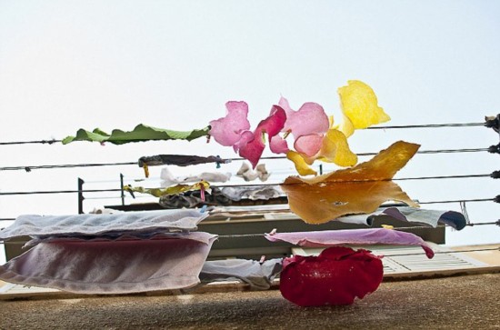 谜语创作，十八姑娘一朵花，五颜六色景如画