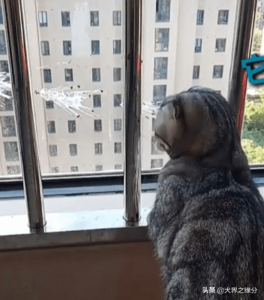 谜语智慧，欲钱看对着窗户吹刺叭