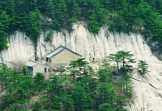 谜语大师:博弈猶賢,不識計較。安得仙人九节杖 谜语大师:博弈猶賢,不識計較。安得仙人九节杖