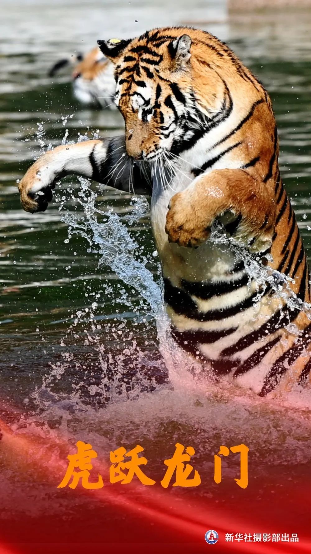 谜语指南，龙虎相随在门前，生死相冲看谁人