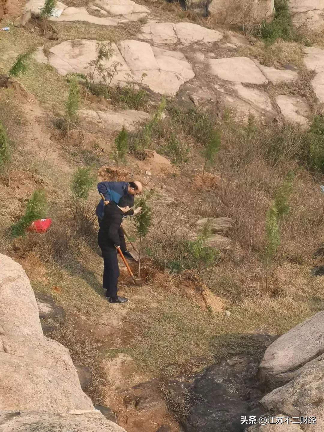 文字谜，风流倜傥画如生，绿水青山美如画