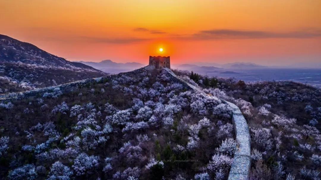 谜题游戏，春花怒放