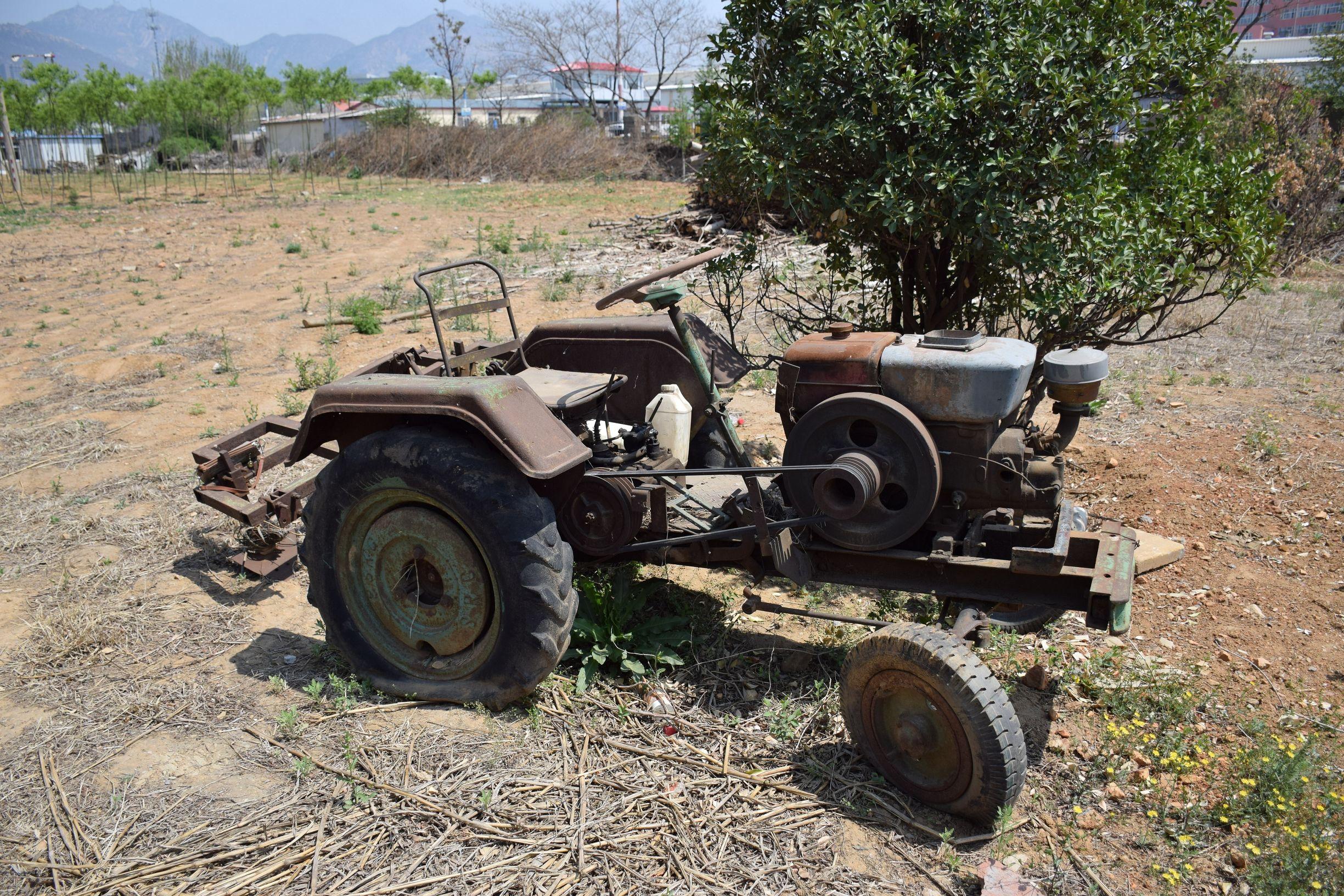 谜语欣赏，问牛知马