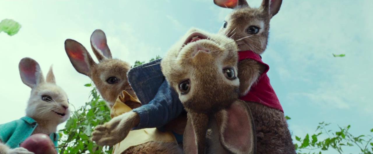 上下一心相互包容，探索谜语中的文学奥秘