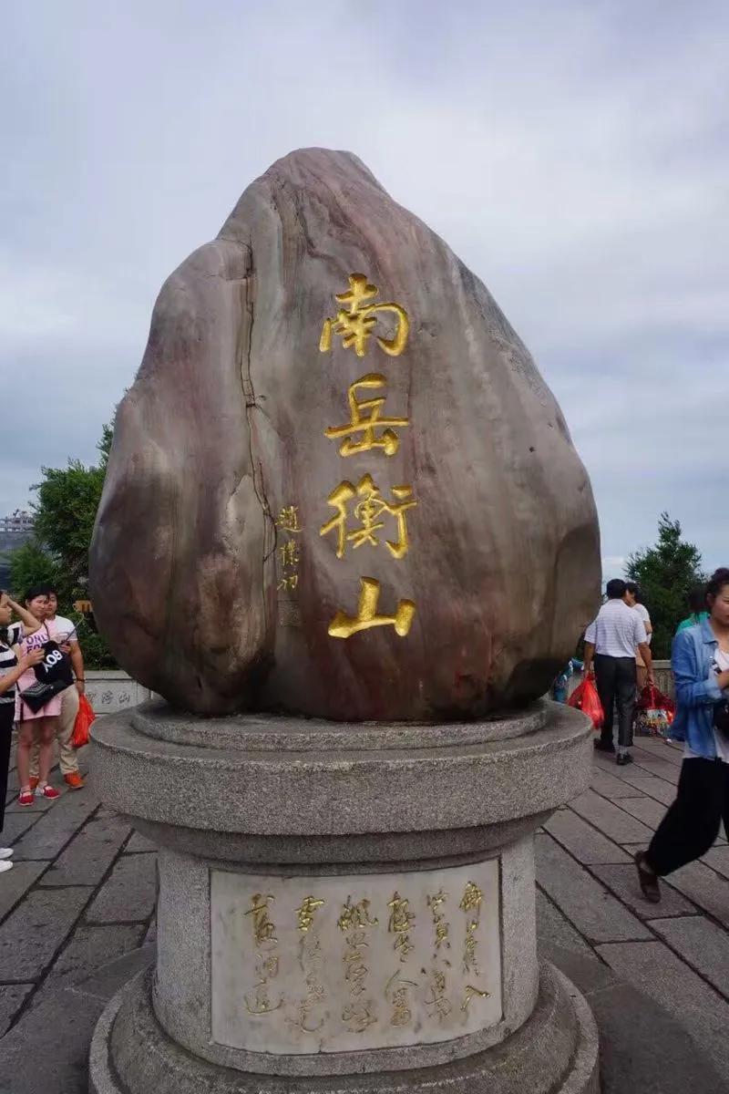 谜团，适者生存—文学教育中的生存智慧探索