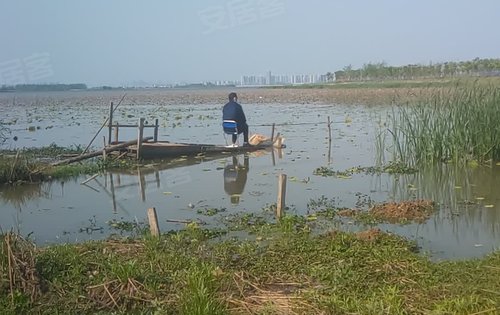 谜语理论,小童垂钓在湖边,珠字二三势最劲 谜语理论,小童垂钓在湖边,珠字二三势最劲
