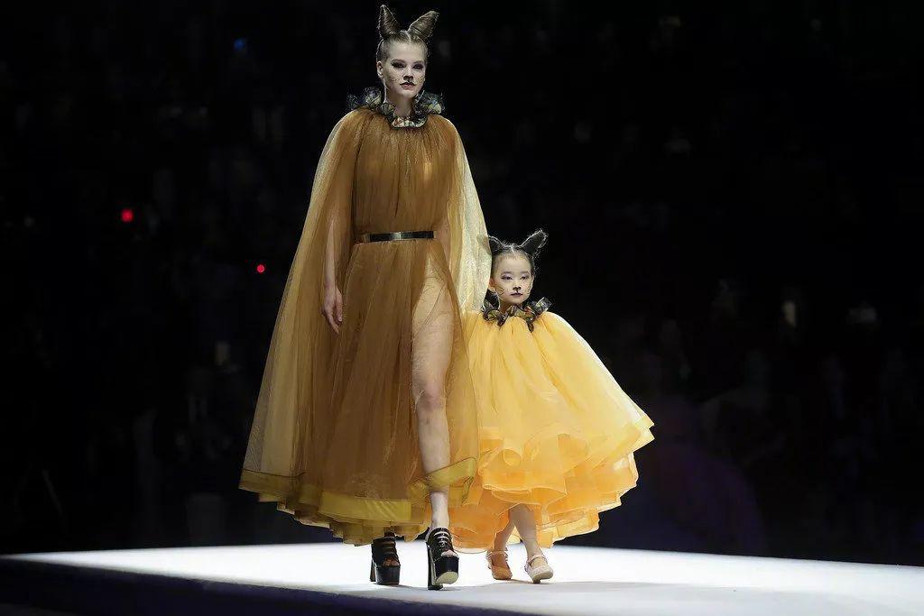 2026年17图库正版图资源库限时特惠，设计师的视觉盛宴与行业变革新机遇