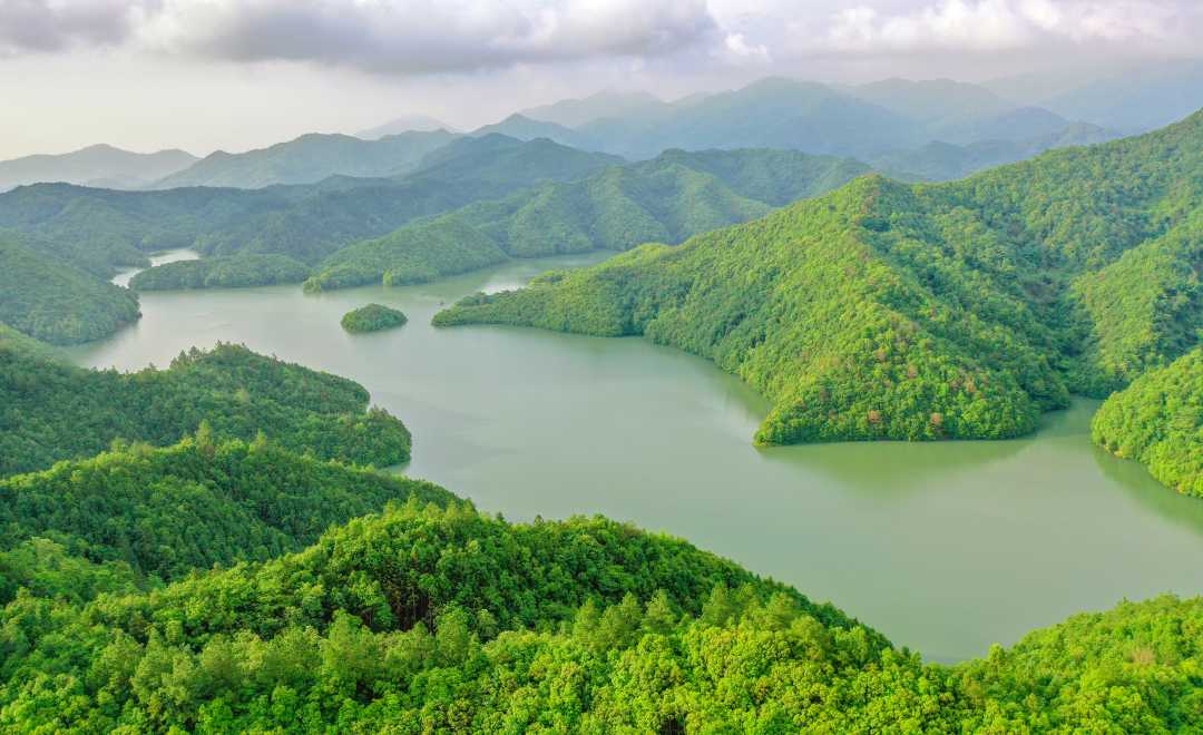 谜语挑战，风流倜傥画如生，绿水青山美如画